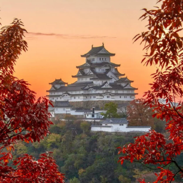 【可选酒店接送】神户一日小团·姬路城+有马温泉+六甲山·热销