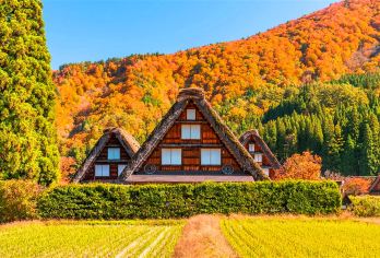 【名古屋出发】探秘白川乡合掌村・高山风情之旅・可选9人小团【白川乡合掌村 走进历史与现代相融的古都 世界文化遗产童话小房子，纯玩无购物，飞驒高山，古街漫步】