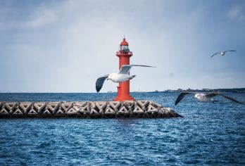 济州岛VIP精品一日游｜6人精品小团｜中文服务｜上门接｜纯玩【6人VIP精品小团｜上门接送｜中文服务｜济州岛一日游｜拼车游/租车游/跟团游｜纯玩路线！】