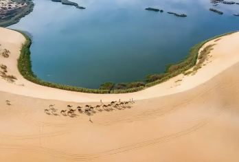 吉达老城+泰耶巴特博物馆+水上清真寺+滨海大道+喷泉一日游【水上清真寺：红海潮起时宛若浮于海面，白壁映碧波，感受宗教与自然交融的静谧圣洁。】