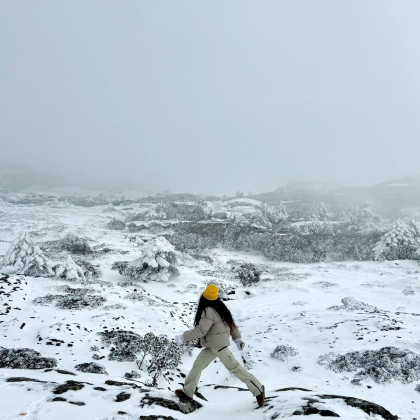 昆明轿子雪山纯玩一日游【昆明往返直通车·大学生首推】