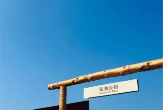 威海搁浅船+天鹅湖+孤独公约【一站式打卡8大景点】+双粮【不起早，不晚归，游玩时间充裕，送天鹅粮+海鸥粮】