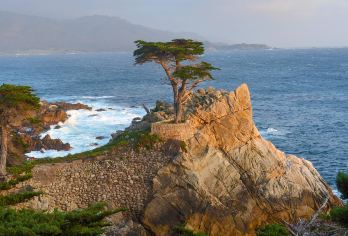 美国旧金山1号公路+17湾风景线+蒙特雷湾包车【中文司机】【中文司机+酒店接送+贴心管家[畅游80+国家，800+城市]】