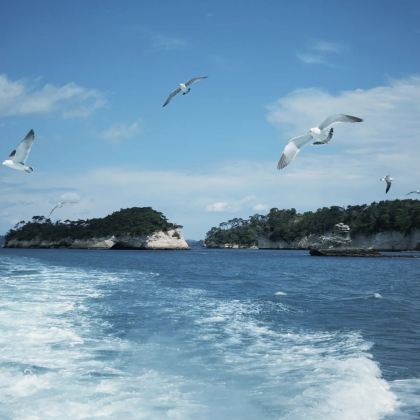 日本仙台【定制包车一日游】多贺城+盐釜神社+松岛寻古自由之旅