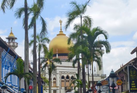 新加坡甘榜格南网红拍照半日步行团｜中文导游· 出片保证【半天轻松步行，拍遍新加坡最上镜的街区】