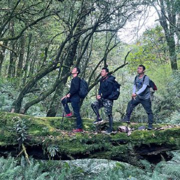 腾冲高黎贡山徒步一日游【徒步+高黎贡荒野厨房+野温泉+漂流】