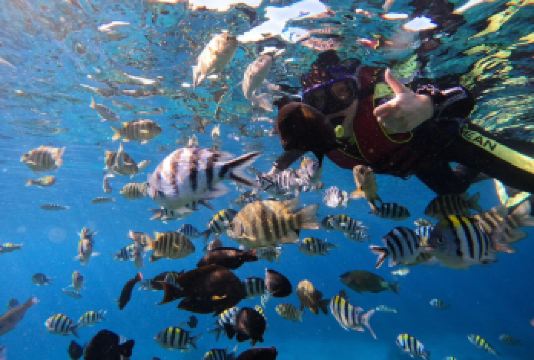 海南省万宁大洲岛浮潜珊瑚区浮潜+海钓体验+网红浮毯+时令水果【[纯玩无购物]游玩灵活，专注体验风景玩乐，轻松享受纯粹游玩】