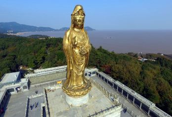 普陀山风景区一日游【当地25人小团，含直通车+门船票+导游】【宁波至舟山朱家尖码头往返直通车，当地参散拼团，实惠品质出行！】