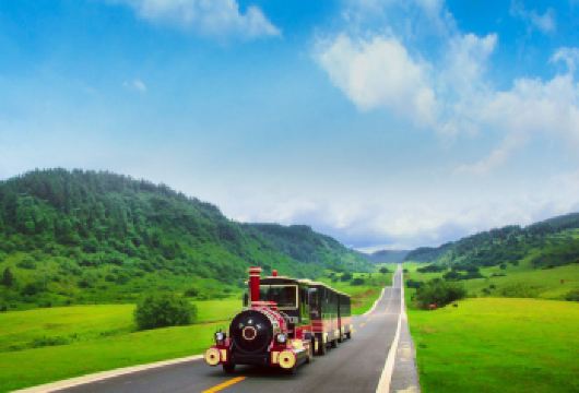 【重庆武隆—5A级仙女山一日游】天坑地缝+天生三桥+树顶漫步【专车上门接送，直达景区无需换乘，线路可私人订制。】