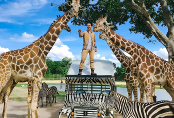 北碧动物园+Elephants' Home & Nature【本产品纯玩，不含餐不购物，不包含在套餐里的项目需自费。】