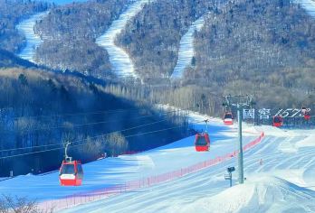 亚布力滑雪+中国雪乡【VIP8人小团+大秃顶子山一日游】【2025全新升级 雪服头盔雪镜 雪板雪鞋雪杖均已包含 全程无二次费用 正规旅游客运车辆 豪华舒适】