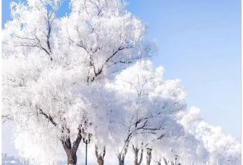 吉林市雾凇岛一日游【万缕银丝+陨石博物馆 小包团】【纯玩小包团，时间自由，行程自由。】