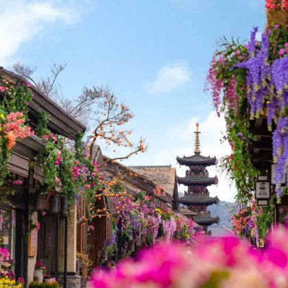 无锡灵山大佛+拈花湾一日游【纯玩团&一票畅玩&赠文创冰箱贴】