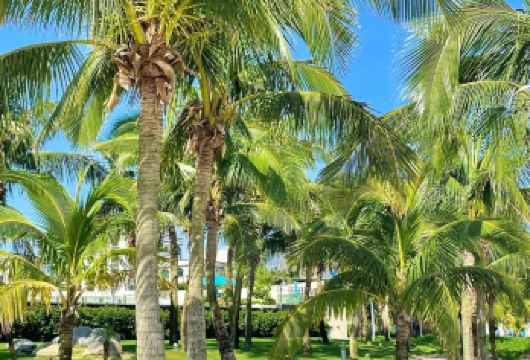 阳江海陵岛+北洛秘境一日游可中选英文服务【可提供中英文及小语种司机/导游服务-往返接送-可选导游】