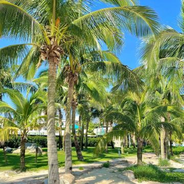 阳江海陵岛+北洛秘境一日游可中选英文服务不含门票