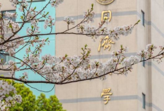 同济大学一日游【在校学生讲解+学习经验交流分享】【[顶尖学府·深度探秘] 不再是隔墙观望！深入中国历史悠久、享誉世界的大学内部】