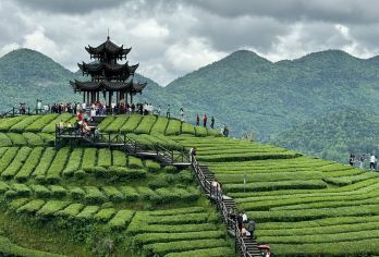 狮子关+伍家台+仙山贡水一日游【2-12人拼小团】【[品质保障]优选商品，品质拒绝购物】