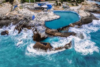 【私家团】汕尾风车岛+海上古堡+红海湾+炮台公园一日活动【纯玩无套路，服务有保障 专车司陪，一单一团】