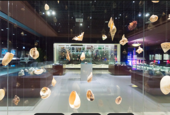 黄岛金沙滩+贝壳博物馆+明月海藻世界一日/亲子研学【山东省内一日游 包车 接送机 接送高铁站】