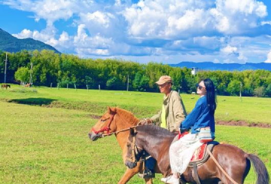 【当天发团真纯玩】丽江拉市海骑马看海喂海鸥纯玩跟团一日游【[网红打卡]位于拉市海边上，占地200亩左右，夏季鲜花遍地，绿草茵茵。打卡拍照划船，非常惬意】