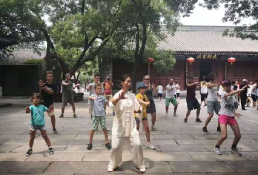 文化沉浸 - 传统中国功夫体验 - 太极课程 & 西安博物院【**环境：在拥有1300年历史的小雁塔幽静庭院中体验传统太极课程——一场身心俱活的修行。 双重沉浸体验：从通过肢体动作感受文化，到在珍宝云集的西安博物院中用心灵理解文化。 完美清晨：高效游览两处标志性宁静文化遗址，避开人潮，尽享静谧时光。】