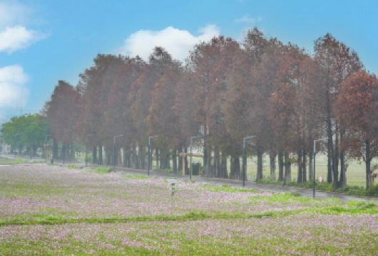 私家小团上门接送|中山影视城+孙中山故居+詹园+崖口村一日活动【私家旅行：一单一团，不拼客，专属旅行； 品质服务：车上门接送，专职司机护航】
