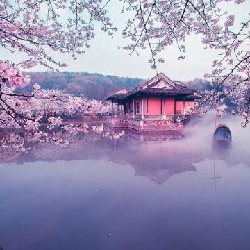 可选鼋头渚门票+速通船票往返+景区内往返客渡船一日游