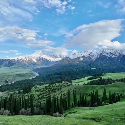 新疆伊犁+恰西森林公园一日游