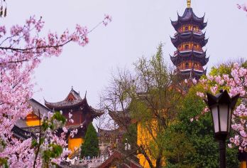 无需跟团自由行随到随进香花券刷“智旅”短信里的二维码】【无需跟团 自由行 随到随进 香花券刷“智旅”短信里的二维码】