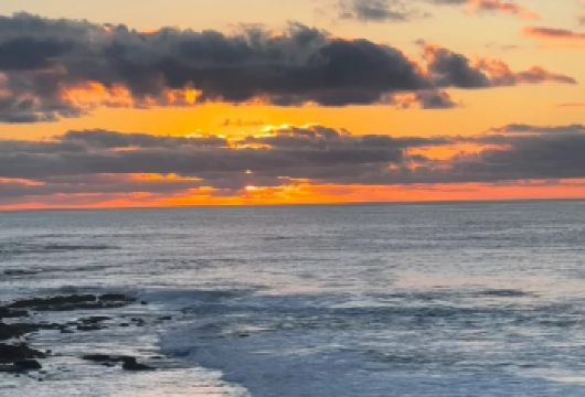 美国圣地亚哥@圣地亚哥老城等经典景点一日游包车【精选老司机】【包车一日游，解锁旅行新方式！独立车辆配备经验丰富的老司机，为您量身打造专属行程。】