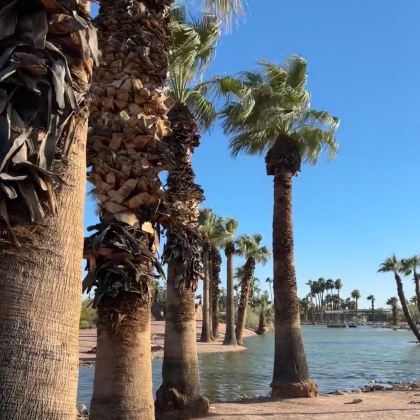 美国凤凰城亚利桑那州议会大厦一日游/行程可调-可定制多日