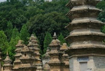 【郑州出发】河南少林寺汽车一日游【品质出游】