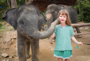普吉岛芭东拥抱大象保护营【洗澡/喂食/亲子互动/酒店接送】【零距离互动玩耍，体验亲密喂食大象；和大象做泥浴spa，洗白白后打水仗】