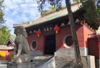 【郑州出发】少林寺一日游【全天游禅宗少林，武术表演、常住院、塔林一价全包】