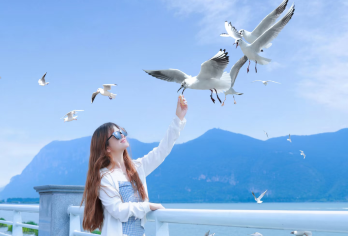 昆明石林风景区+滇池一日游【二环上门接▼资深导游▼一价全含】【[品质纯玩]打造云南高端旅游体验，一手地接社，三年0投诉自家发车纯玩无购物，尽情畅游。】