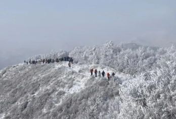 东灵山一日游【挑战北京高峰+海拔2303米+高山草甸云海】【东灵山主峰海拔2303米，京西高峰。】