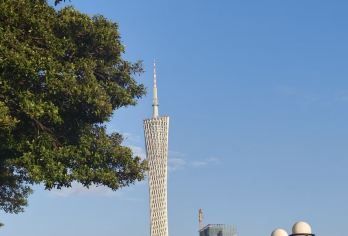 长洲岛+海珠国家湿地公园+广州动物园+广州塔【轻松出行，打卡广州优选旅游景点】