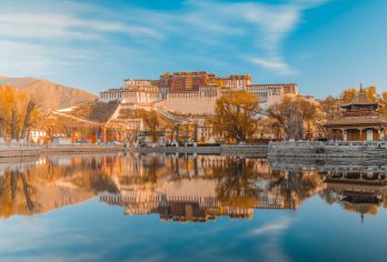 旅拍西藏【西藏博物馆+色拉寺+市井生活】【中文司机，需要向导可咨询】