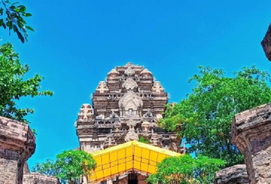 悠游越南 | 芽庄包车一日游【8小时】【包车专享中文司机+24小时管家服务。】