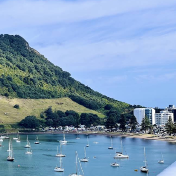 新西兰奥克兰-教堂湾-热水海滩-可定制【中文专车-惬意舒适】