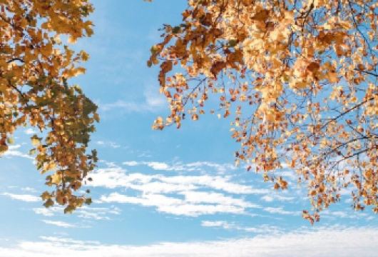 美国西雅图+奇胡利玻璃艺术园一日游/行程可调-可定制【专属客服和本地中文司机，一家一团包车】