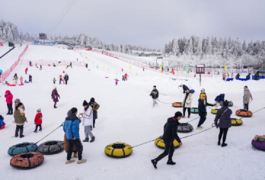 重庆仙女山门票+往返大巴+导游+送暖宝宝手套赏雪玩雪纯玩【含仙女山门票+往返大巴+导游】