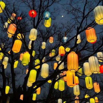 合肥出发包车9小时一日游|快速打卡刘铭传纪念馆+安徽名人馆