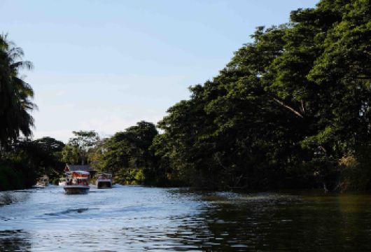 纳纳蒙 红树林和萤火虫河游船 | 沙巴 亚庇【这里位于纳纳蒙的沙滩上，拥有日光浴床、宽阔的绿色草坪，并且交通便利，非常适合享受海风和海景。最佳观赏时间是无月之夜或多云的夜晚，那时的景色仿佛置身于童话世界。您可以悠闲地乘船游览红树林河流生态系统。】