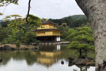 日本京都往返奈良-奈良公园-若草山-春日大社-红叶巡礼红叶季【专业行程定制，精选热门景点，高效游玩不走回头路，贴心服务保障，轻松】