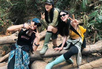 基诺山雨林徒步一日游【赠徒步研学证书/树降溯溪/可选6人团】【[深度体验]深度体验荒野生存，探索雨林的奥秘。】