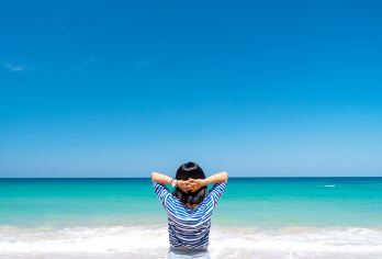 【纯玩·文昌】宋氏祖居+石头公园+东郊椰林+椰子王国+午餐【探索航天与椰林之乡，走进文明侨乡（含午餐）】