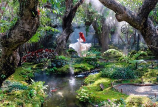 清迈网红景点一日游【人文之旅丨中文导游丨市区接送丨含门票】【[人文之旅]中文导游|市区酒店接送|人文探索|初来必打卡景点renwe人文之旅】