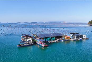 【私家团·南澳岛一日游·彩虹海出海】环岛游+品鱼排海鲜大餐【[多地接送]潮州/汕头/南澳岛区域可接送，当地专业司机兼向导贴心服务，轻松出行；】