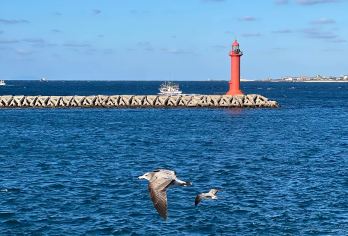 韩国济州岛一日游｜6人精品小团｜上门接｜中文服务｜纯玩无购物【6人精品小团｜上门接送｜中文服务｜济州岛一日游｜拼车游｜租车游｜跟团游｜纯玩路线！】